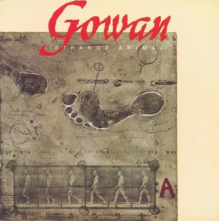 Strange Animal album cover